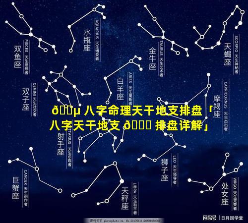 🐵 八字命理天干地支排盘「八字天干地支 🐟 排盘详解」